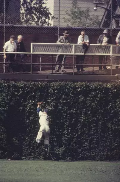 Chicago Cubs Jim Bolger in action, fielding fly ball against outfi - Old Photo