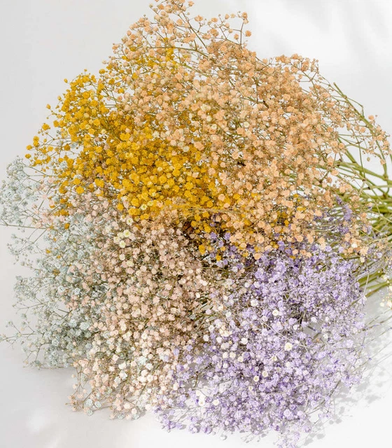 XXL hierba de velo "mezcla pastel", cintura 70 cm | ramo ramo flores secas secas secado
