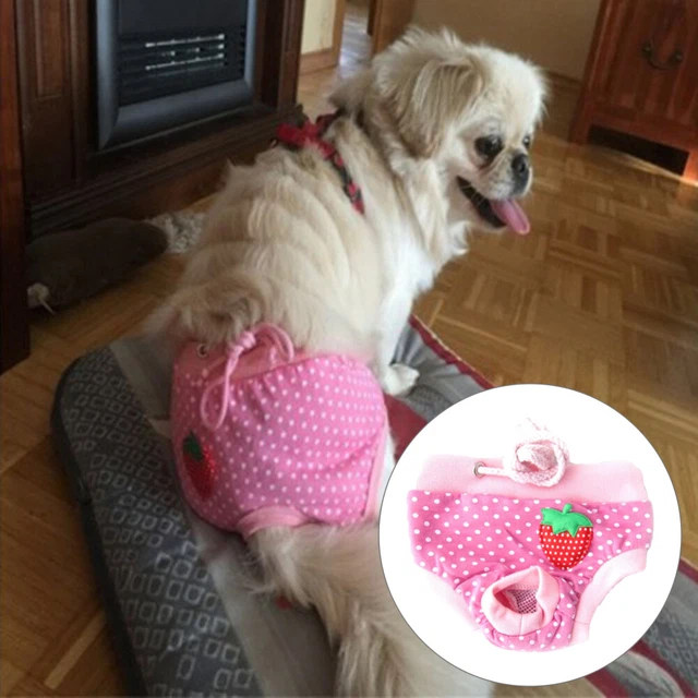 Haustier Windel Hygiene Physiologische Hosen Dot Strawberry Waschbare Männliche