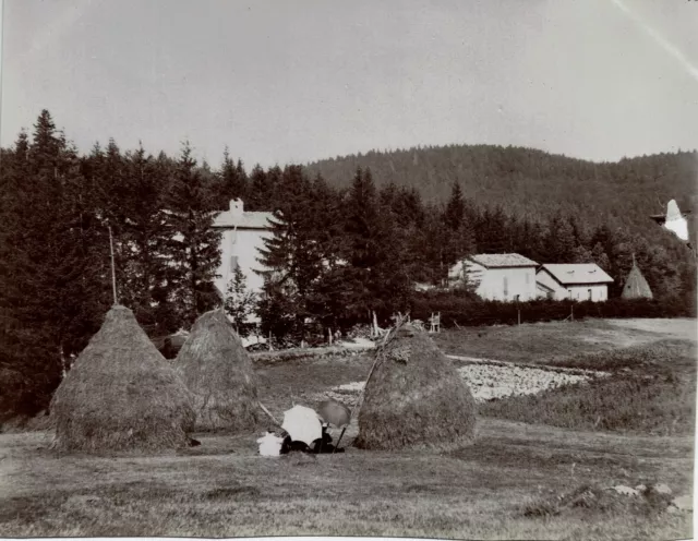 FRANCE 1904 ALPES, SLOW Massif du Vercors forest house, Chalets des Pins