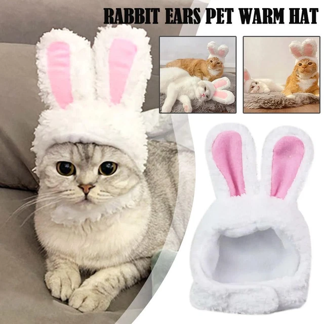 Cappello caldo con orecchie di coniglio per animali domestici carino copritesta di coniglio rosa
