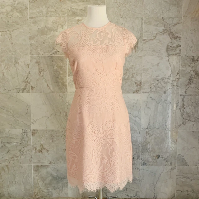 NWT BB Dakota Pink Jayce Lace Sheath Dress 6