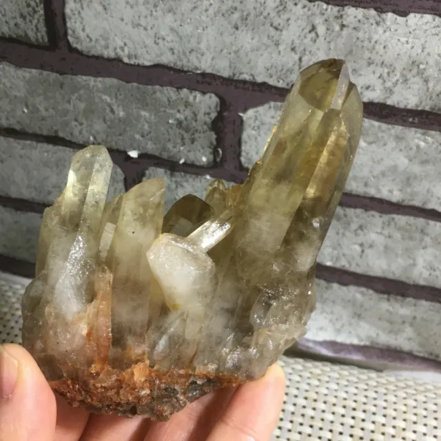 New Find yellow  Phantom Quartz Crystal Cluster Mineral Specimen Healing 237g h4