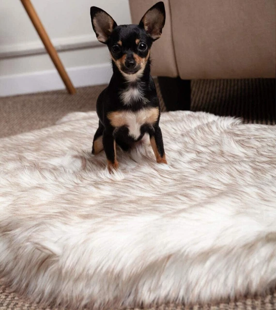 Luxury Faux Fur Orthopedic Dog Bed, Memory Foam Dog Bed​,BONE WHITE MEDIUM