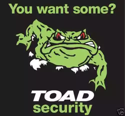 2x Toad Voiture Sécurité Alarme Vitre Remplacement Stickers Décalcomanie.