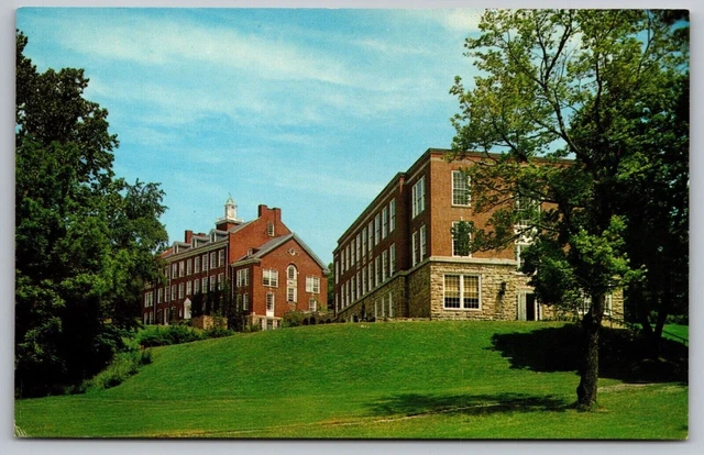 Davis Elkins College West Virginia Presbyterian School Forest Festival Postcard