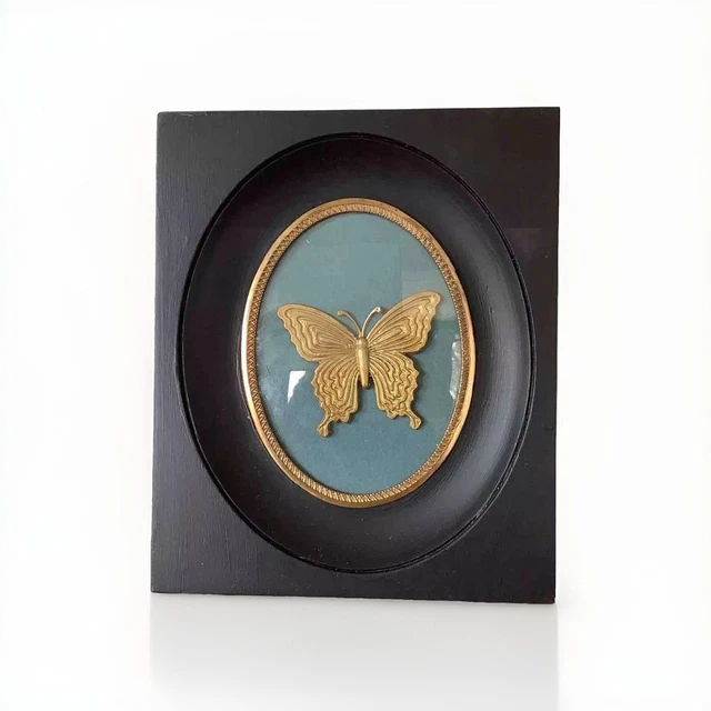 Cadre perroquet sous verre véritable ailes de papillon taxidermie
