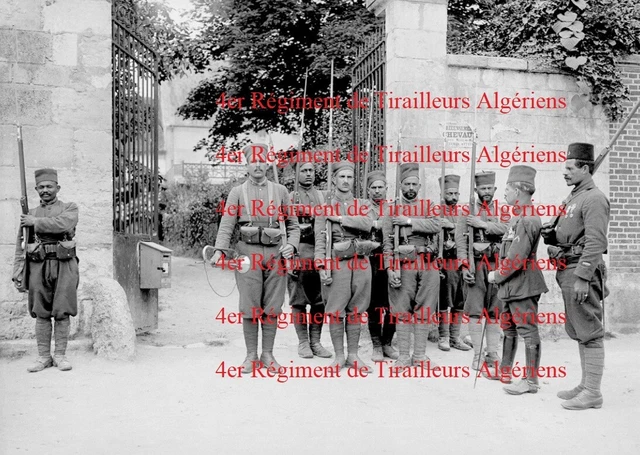 Grande Photo Fanion - Compagnie De Mitrailleurs 21° RTA - Tirailleur Algérien 1920-1930 - Original