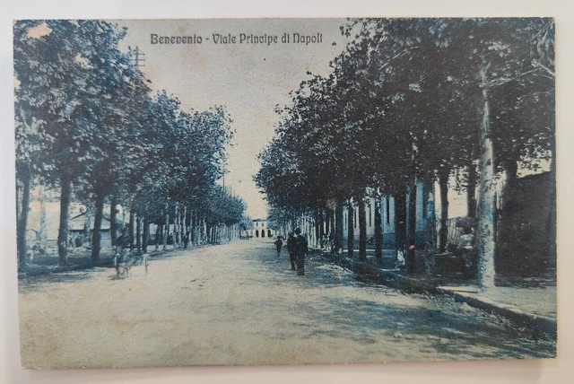 Cartolina Benevento Viale Principe Di Napoli Fp Vg 1924