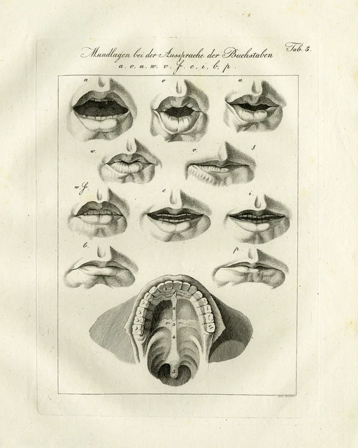 Antique Print-LANGUAGE-SCHOOL-MOUTH-ALPHABET-Czech-1844