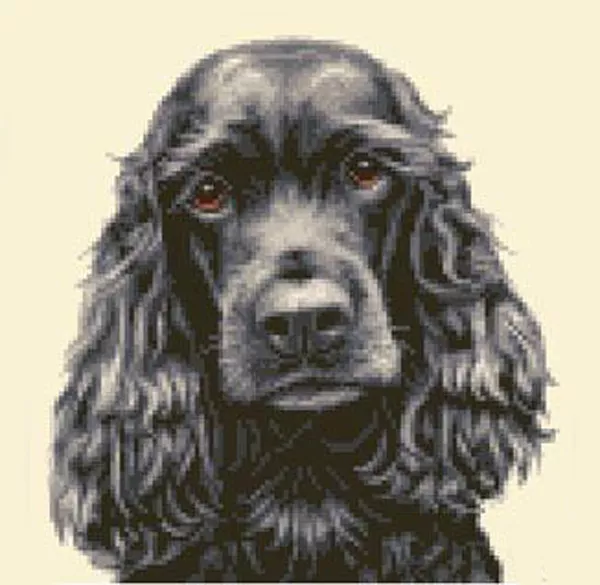 BLACK COCKER SPANIEL dog - FULL counted cross stitch kit *Jann Designs