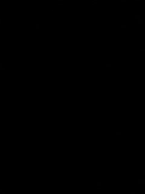 Placeholder 4