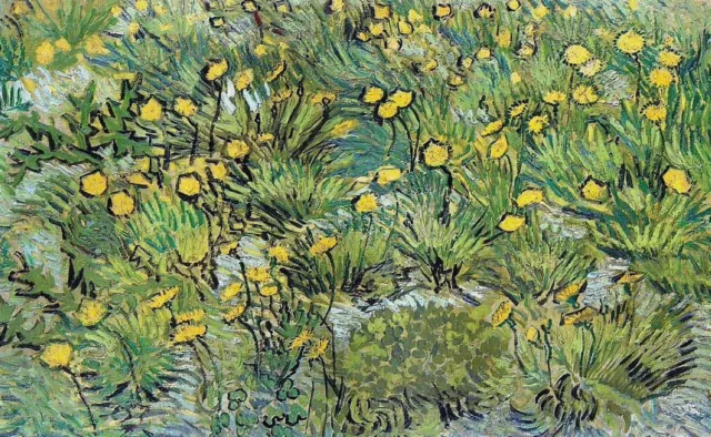 Vincent van Gogh A Field of Yellow Flowers 1889 Hand Painted Canvas Oil Painting