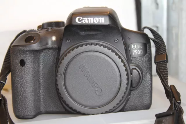 Canon EOS 750D 24.2MP Digital SLR Camera - Black (Body only)