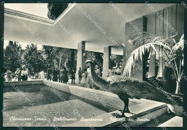 Siena Chianciano Terme Stabilimento Acquasanta Foto FG cartolina KV7966
