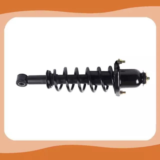 Rear Left Suspension Complete Strut & Shock Absorber Fit For 04-09 Toyota Prius