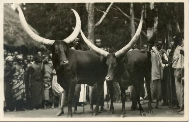 Exposition Philatelique Tentoostelling 1937 Leopoldville Ruanda Batails Sacres