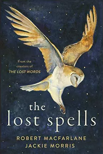 The Lost Spells by Morris, Jackie Book The Cheap Fast Free Post