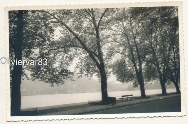 Vintage photo - river or lake bank in the mist with tall trees