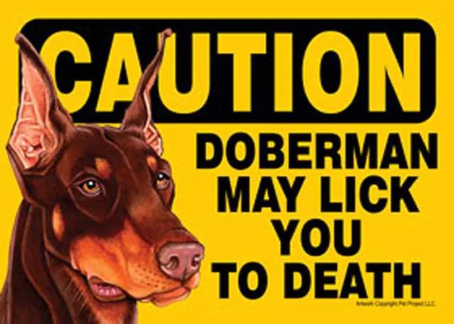 Doberman Caution Puede Lick You A Muerte Perro Signo Imán Insignia Cierre