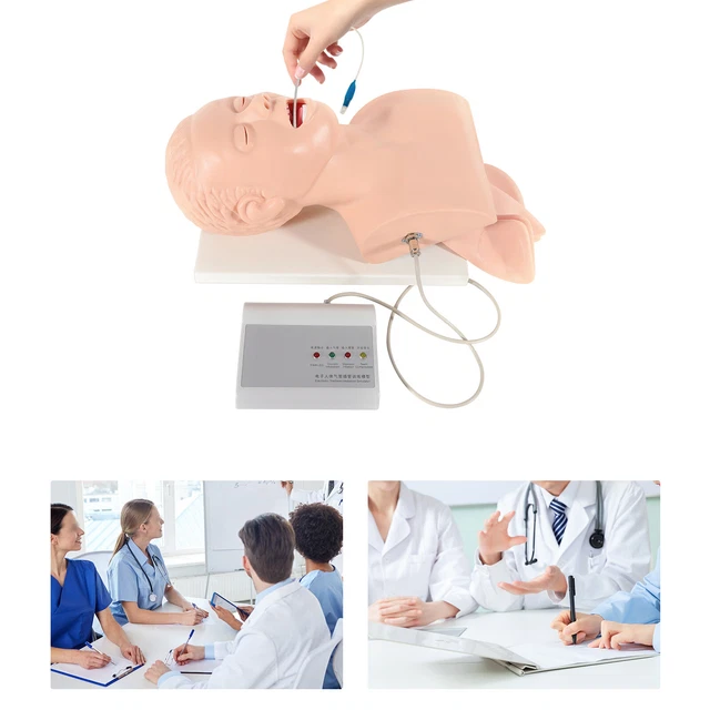 Teaching Model Lab Intubation Manikin Airway Management Trainer Oral Nasal Study