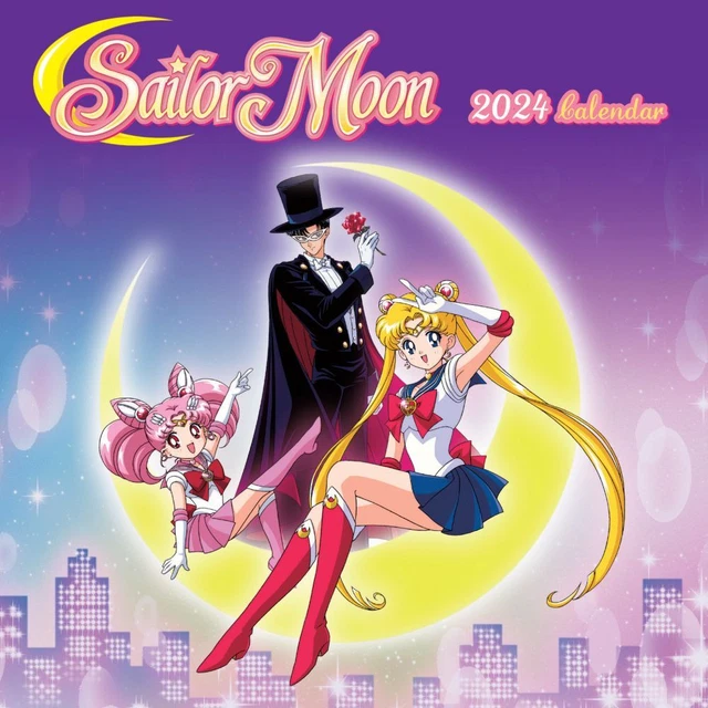 CALENDAR INK, Sailor Moon 2024 Mini Wall Calendar 13.92 PicClick