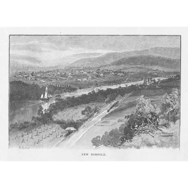 AUSTRALIA View of New Norfolk, Tasmania - Antique Print 1888