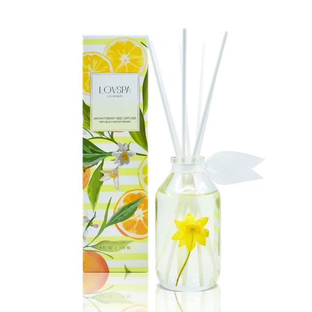Coastal Citrus Scented Reed Diffuser Oil and Sticks Gift Set