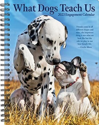 WHAT DOGS TEACH Us 2023 Engagement Calendar by Willow Creek Press New