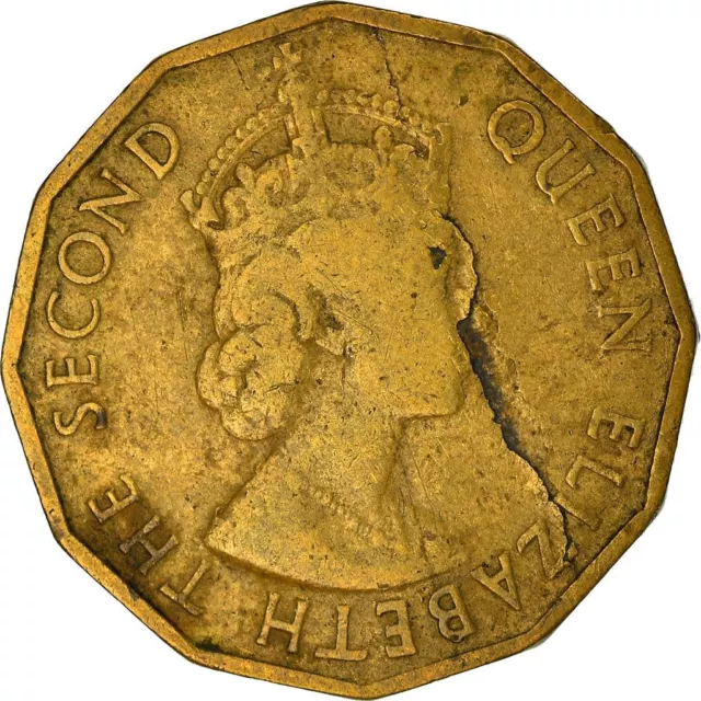 Nigerian Coin 3 Pence | Queen Elizabeth II | Cotton Plant | Nigeria | 1959