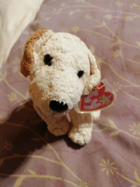 Ty Beanie Babies Rufus The Dog 2000 With Tag In  Plastic Protector