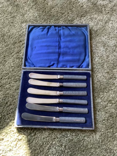 Vintage boxed set of 6 butter knives with Grey Bakelite type handles, EPNS