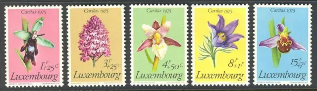 Luxembourg 1975 Plantes protégées - Numéro caritatif MNH