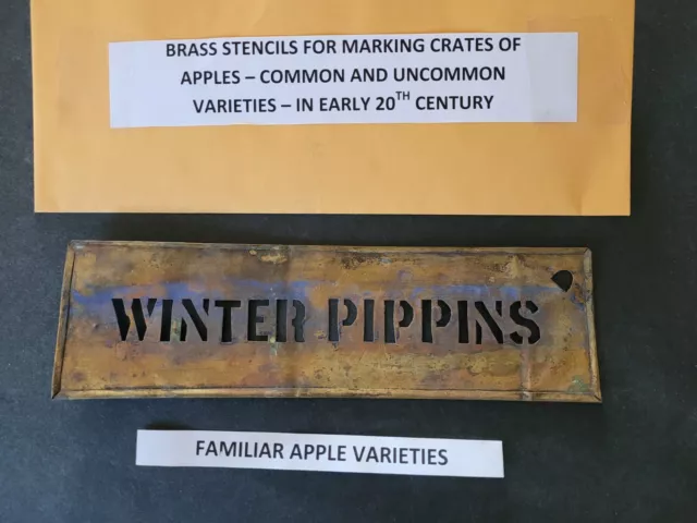 RARE Original Antique Brass WINTER PIPPINS Apple Crate Stencil Very Good Condt.