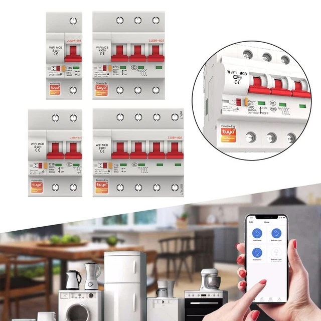 Disjoncteur Intelligent WiFi 63A 12-80V DC - Contrôle à Distance, Compatible Alexa & Google Assistant - 7