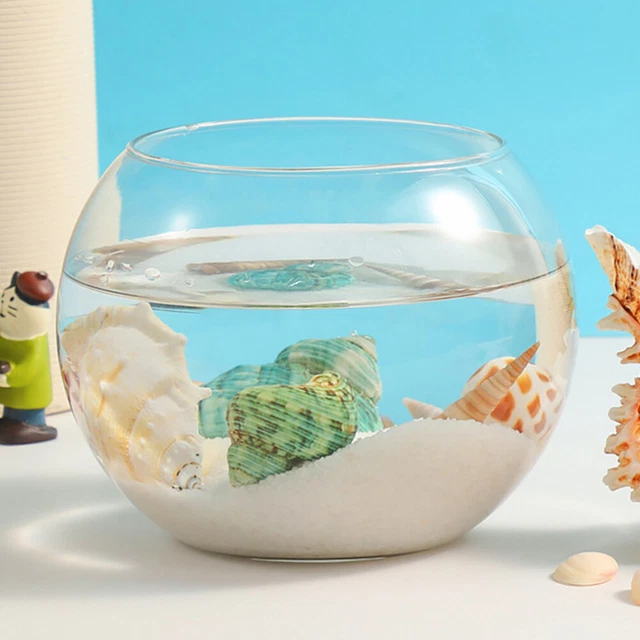 8 Sets Seashell Conch Landscaping Marine Ornament Mini Shells Beach