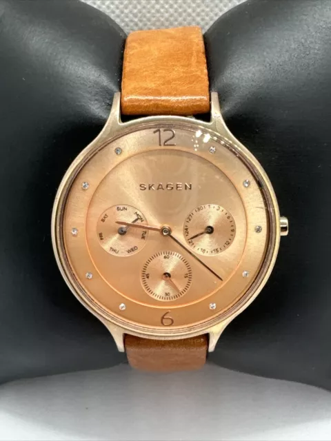 Skagen skw2392 on sale