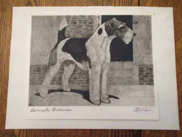 BEAUTIFUL 1931 Bert Cobb dry point etching print-WIRE FOX TERRIER DOG-Bridegroom