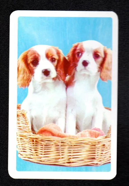 Vintage Swap Card - Lovely Puppies in Basket  (BLANK BACK)