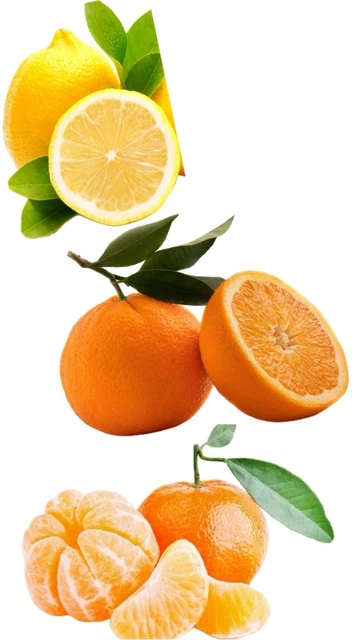 Box Misto 10kg  Agrumi Clementine - Arance - Limoni Non Trattate Buccia Edibile