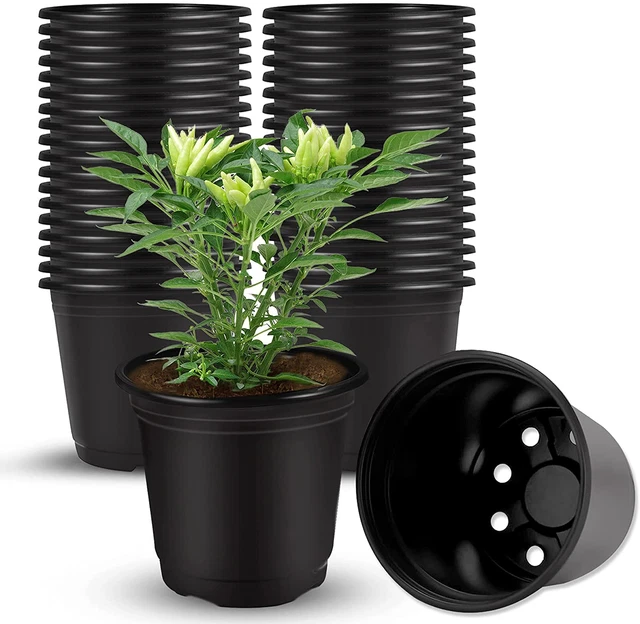 40 Pcs Black Plastic Plant Nursery Seed Starting Pots For Succulent Seedling NEW