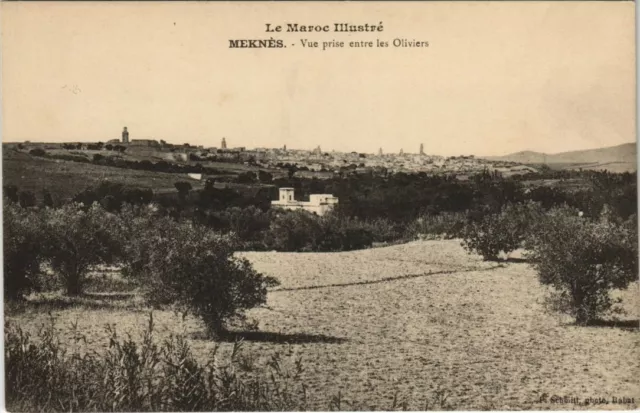 CPA AK MOROCCO Illustrious MEKNES View taken between the Olives (38729)