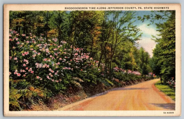 Jefferson County, Pennsylvania - Rhododendron, State Hi-Way - Vintage Postcard