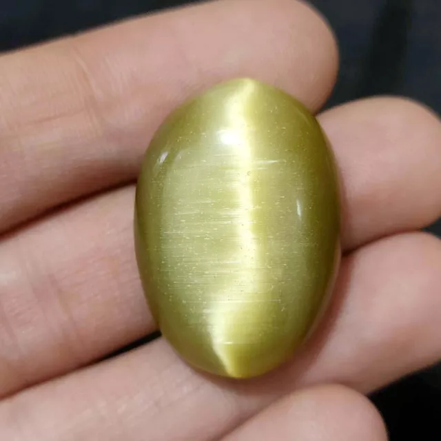 60.75 Cts Natural BI Color Cat's Eye  Cab Shape  Excellent  Gemstone