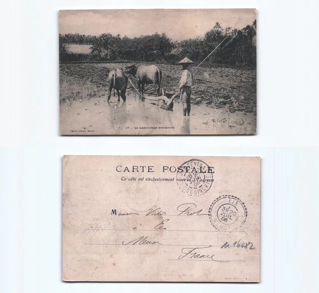 (n16082)   Reisanbau 1906   Ansichtskarte Indochina (französisch)