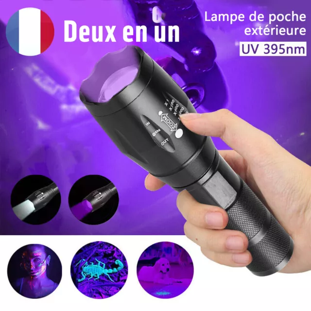 2 modes UV lampe de poche 395nm LED torche Lumière noire détecteur d'urine