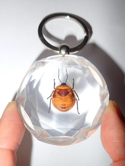 Insect Large Key Ring Flower Bug Shredded Diamond Effect 3 pieces Lot