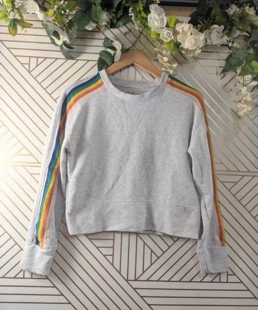 Madewell Women's Rainbow Inset Crop Sweater Jersey Crew Pullover SMALL L2792