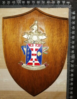 CREST 132° BATTAGLIONE GENIO GUASTATORI 11° REGGIMENTO RARITÀ!!! 