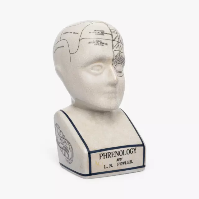 Extra Large Phrenology Head 12" Porcelain Crackle Glaze Busts Collectible